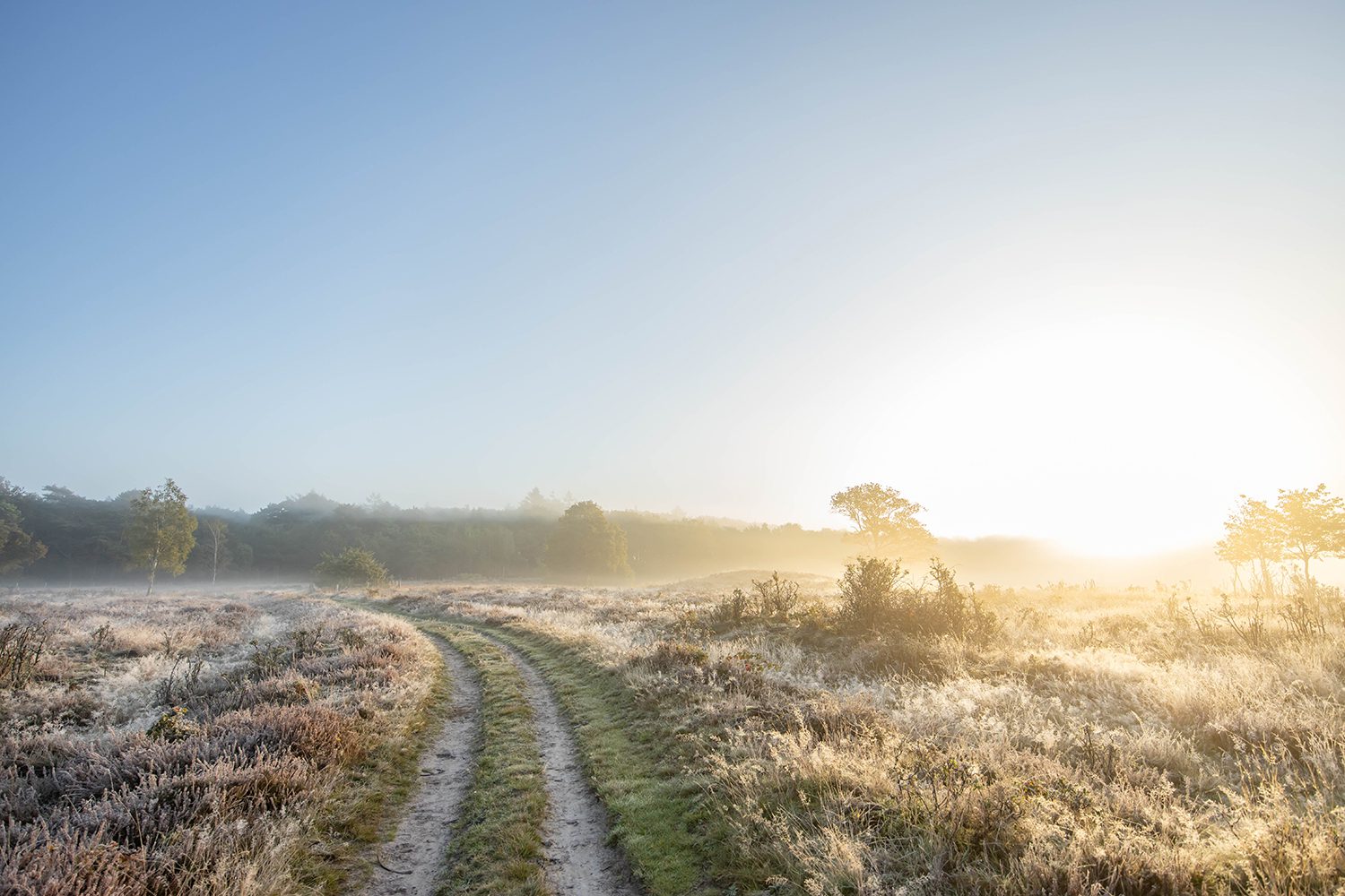 Boswachterspad Oudemolense Diep