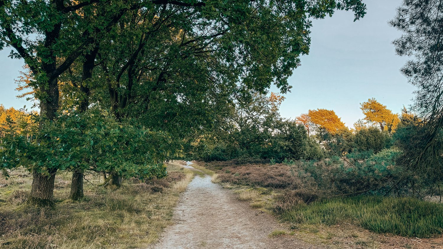 wandelroute drouwenerzand