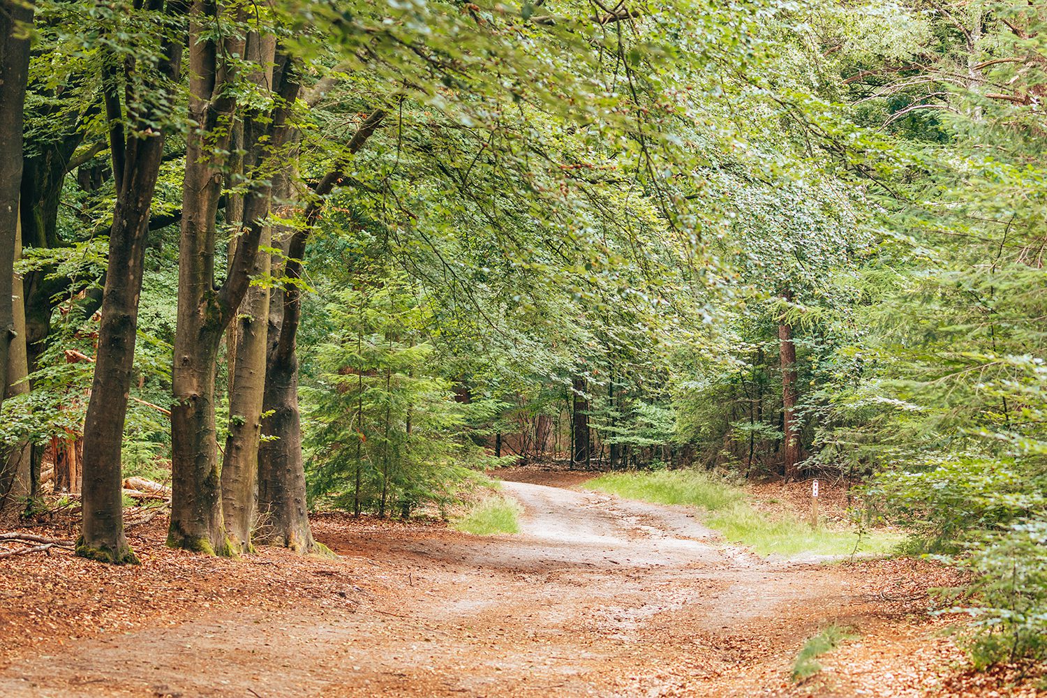 Twilhaarwandeling