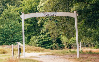 Wandelroute Twilhaarwandeling  