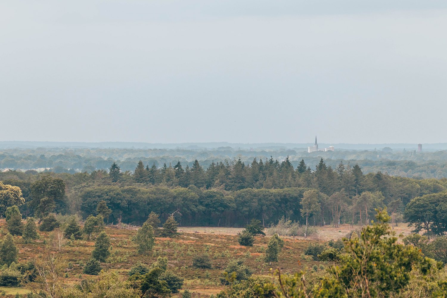 Twilhaarwandeling