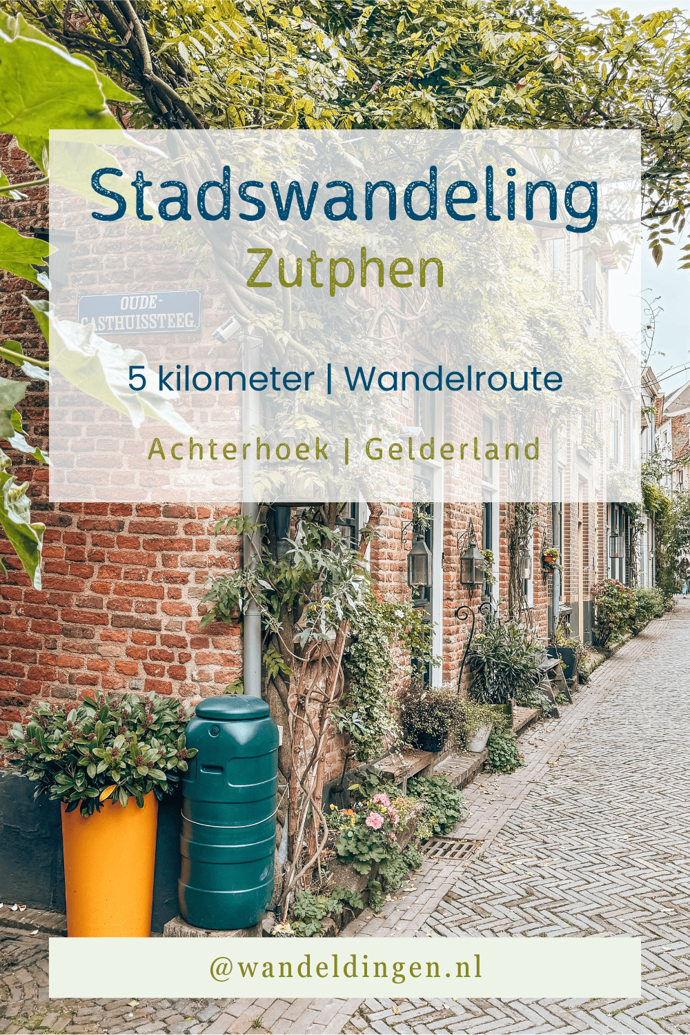 stadswandeling Zutphen