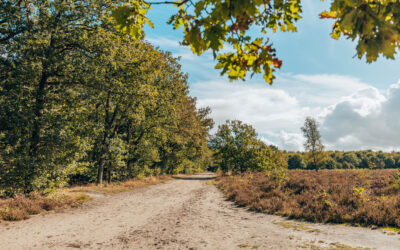 Komootroute Boswachterij Exloo