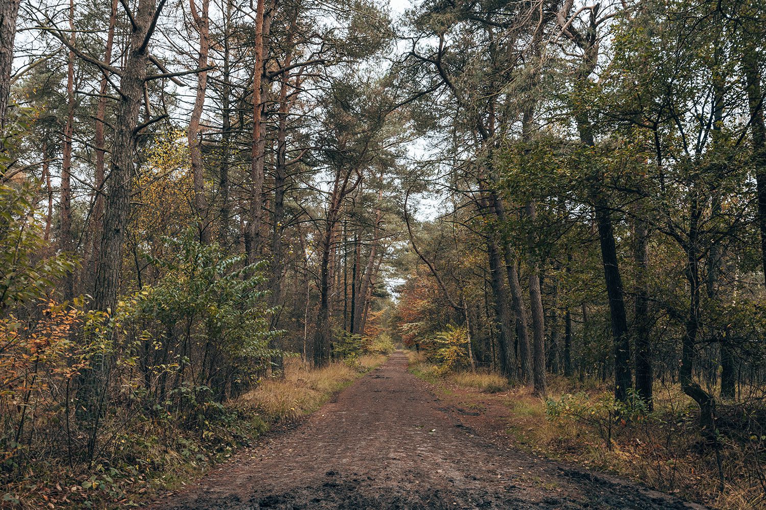 Komootroute Grote Veld