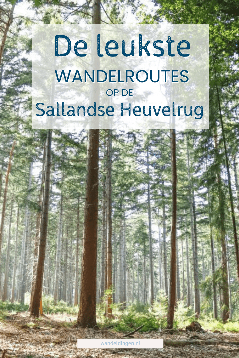 wandelen Sallandse Heuvelrug