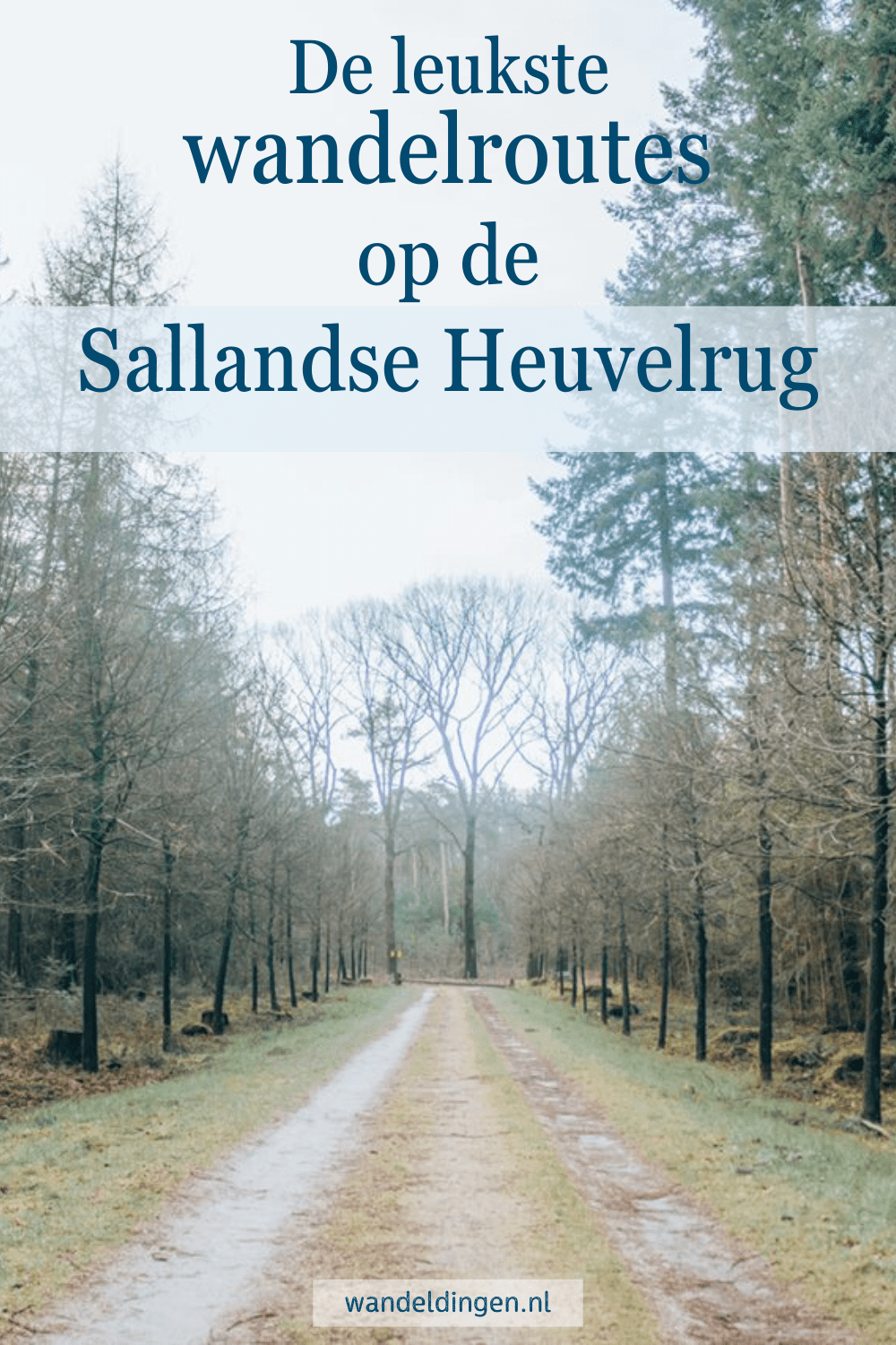 wandelen Sallandse Heuvelrug