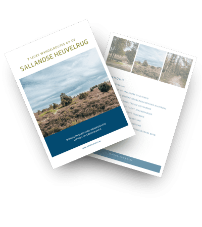 download wandelroutes Sallandse Heuvelrug