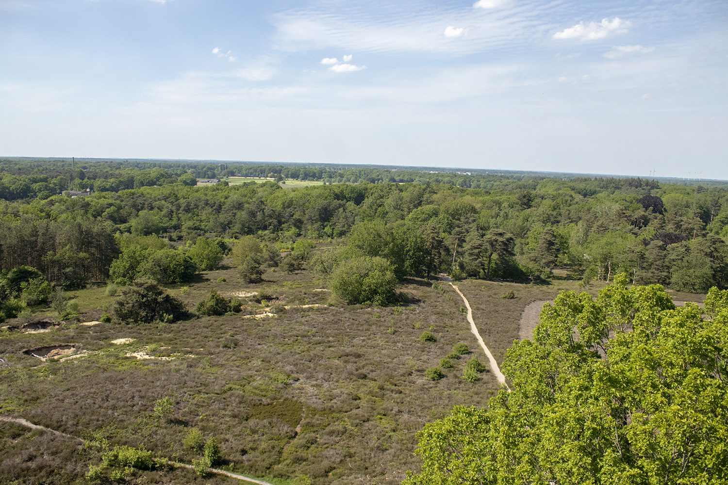 Wandelen bij Ommen