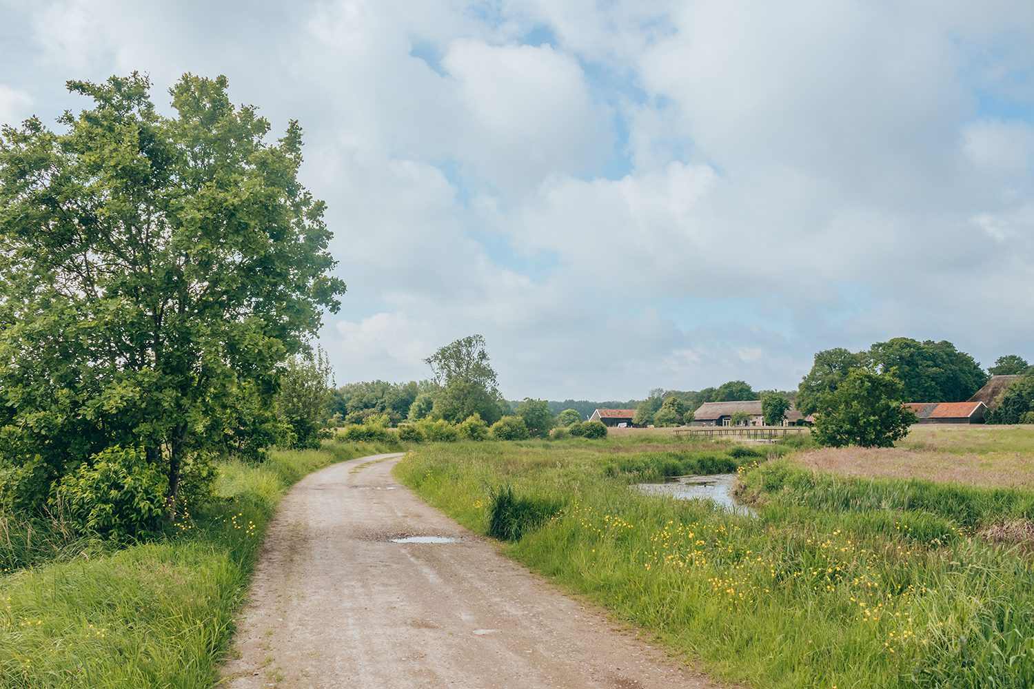 Wandelen bij Ommen